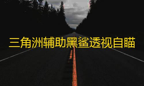 三角洲辅助黑鲨透视自瞄物资辅助效果图